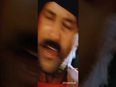 siru paravai yale song #beemamovie#trisha hot#vikrem#trishastatus