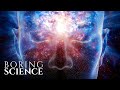 What If Your Brain Is Connected To The Universe Quantum Consciousness Theory