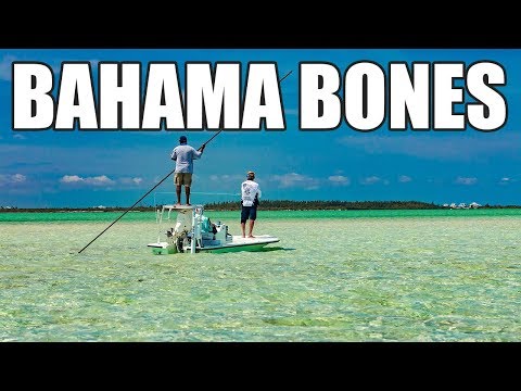 download lagu mp3 mp4 Bonefishing Bahamas, download lagu Bonefishing Bahamas gratis, unduh video klip Bonefishing Bahamas
