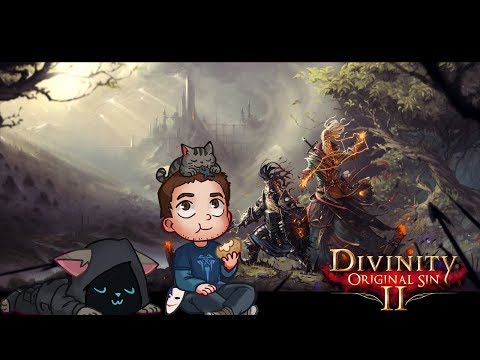 Divinity Original Sin 2 Gameplay blind Walkthrough Part 19 : VOID WOKEN DEEP DWELLER BATTLE