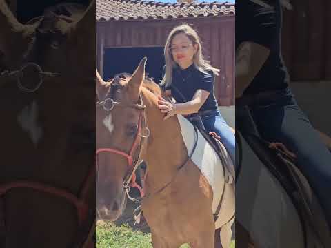 Andar a cavalo, momento de elo entre amazona e animal. Passeio em Senador José Bento (MG). #cavalo