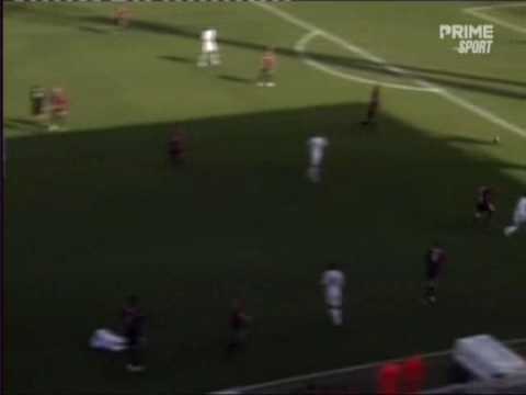 Calcio 2009 : J26 : Reggina - Fiorentina : 1-1