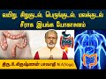வயிறு சிறுகுடல் பெருங்குடல் மலக்குட�