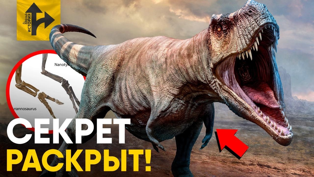Мы узнали, зачем Тираннозавру такие маленькие лапки!