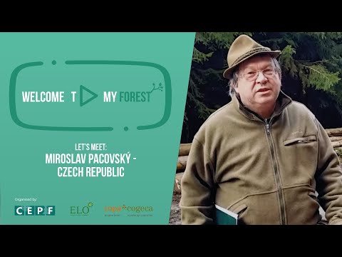 #WelcomeToMyForest - Meet Miroslav Pacovský in his forest in Czech Republic