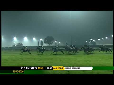 Premio Dormello - Gruppe 2