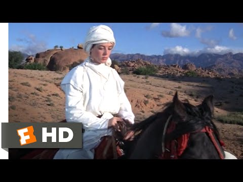 The Black Stallion Returns (1983) - The Black's New Rider Scene (5/12) | Movieclips