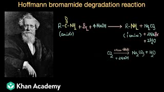 Hoffmann bromamide degradation reaction | Amines | Class 12 | Chemistry | Khan Academy
