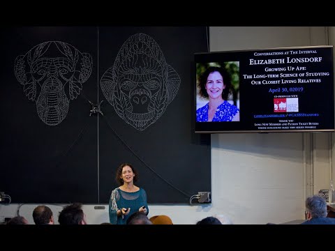 Growing Up Ape: The Long-term Science of Studying Our Closest Living Relatives I Elizabeth Lonsdorf