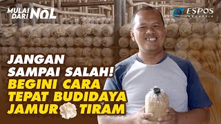 Budidaya Jamur Tiram Mulai dari Nol: Panen Setiap Hari, Untung Berkali-kali
