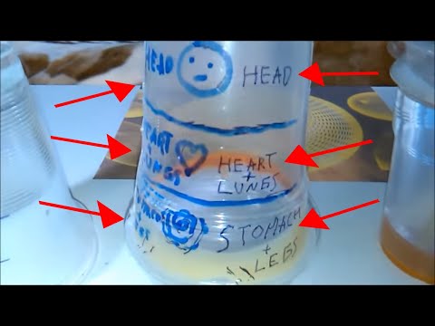 How Plasma Health Cup Works, How To Drink From Cup Of Llife, Tutorial, Keshe Technology For Healing Video