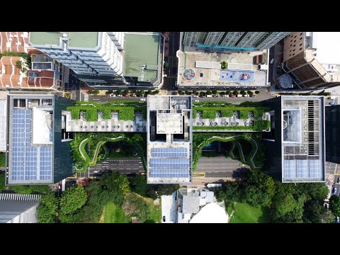 Urban dwellers have drunk the zero-emission ‘Kool-Aid’