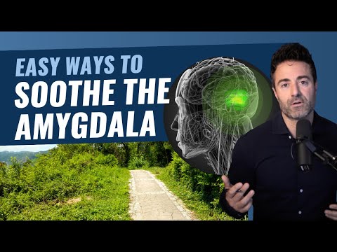 How to Calm the Amygdala in 3 Simple Ways