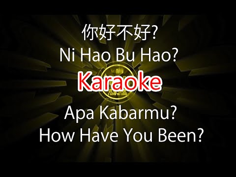 Ni Hao Bu Hao - 你，好不好 - How Have You Been - Karaoke - Terjemahan - Lyrics - Lirik