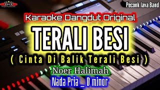 Download lagu KARAOKE TERALI BESI NADA PRIA RHOMA IRAMA mp3
