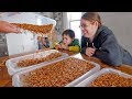 I surprised my wife with 5,000 mealworms…