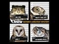 The Four Owls - Life In The Balance Lyrics 