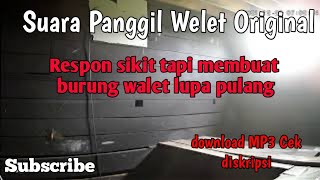 Download lagu Suara panggil walet MP3 cepat menginap Original SPC 99 mp3