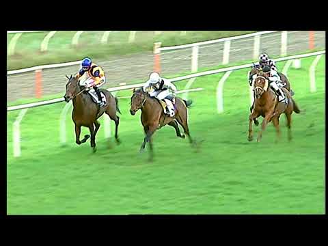 Galoppo 04/01/2021 - 6ª corsa