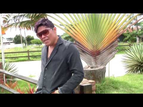 Novinha video