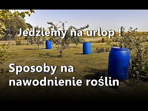 Nawadnianie ogrodu, nawadnianie roślin, ogród w czasie suszy. Jedziemy na urlop :)))