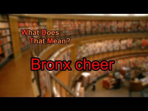 What does Bronx cheer mean?