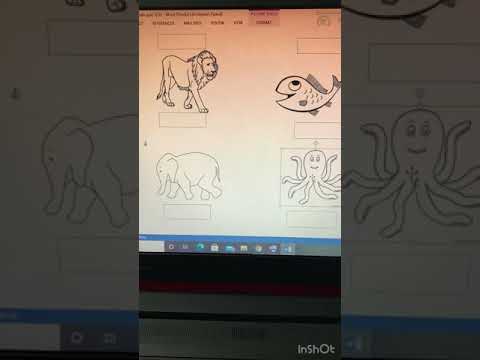 “Animals” worksheet