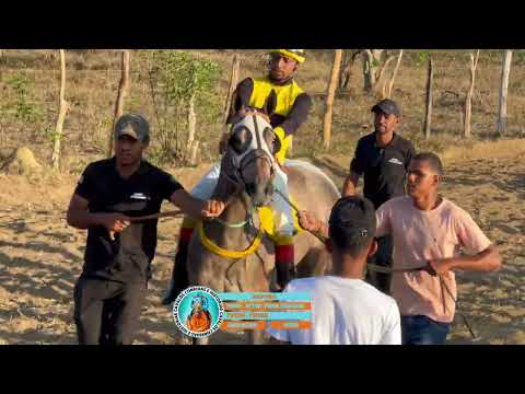 RAPOSA: Corrida de Cavalo em PORTO FELIZ - Piritiba, Bahia, #cavaloscorridasehistorias 