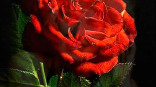 The Heart - Tammy Wynette