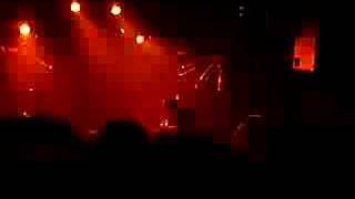 reggie and the full effect