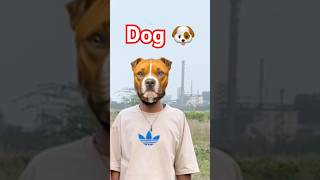 Download lagu Aditya Dog Ban Gaya😂😅 #dog #shortsfeed #comedy #funny #cutbaby #youtubeshorts #viral #bhoot mp3 Download lagu Aditya Dog Ban Gaya😂😅 #dog #shortsfeed #comedy #funny #cutbaby #youtubeshorts #viral #bhoot mp3
