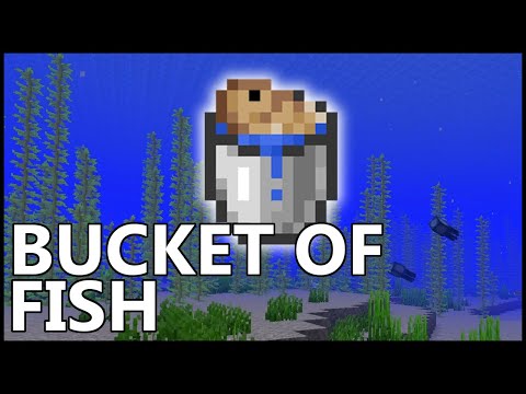 How To Catch Fish Using Buckets In Minecraft