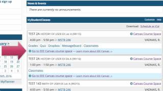 How do I open my EEE Canvas course space