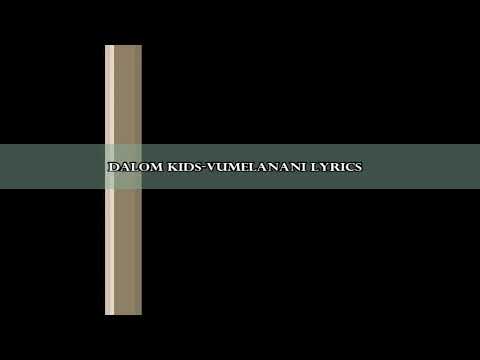 Dalom kids -Vumelani lyrics video