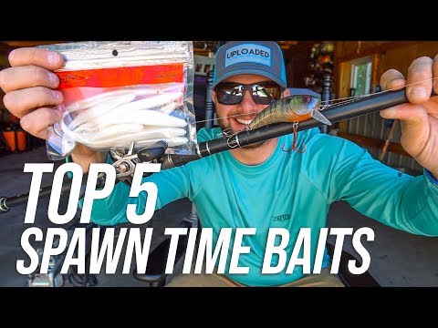 TOP 5 Baits AROUND the Spawn (Pre, Spawning and Post)