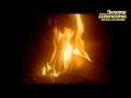 Сергей Трофимов - Просто так 