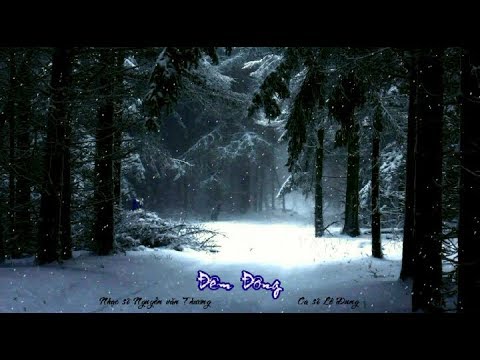 ĐÊM ĐÔNG  -  LÊ DUNG