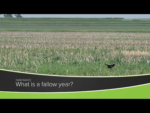 Farm Basics #1218 What Is A Fallow Year? (Air Date 8-8-21)