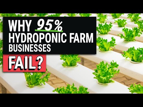 , title : '10 Reasons Hydroponic Farm Businesses Fail'