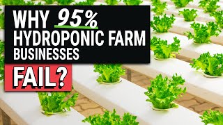 10 Reasons Hydroponic Farm Businesses Fail