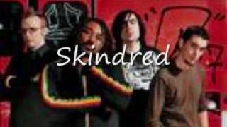 Skindred state of emergency