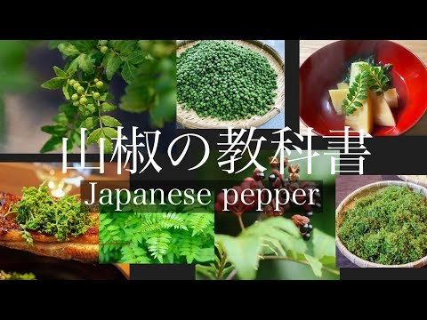 アルファヒドロキシサンショール