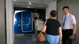 FAMILY TRIP LÝ SƠN 6 NGÀY 5 ĐÊM by Amazing Family Travels