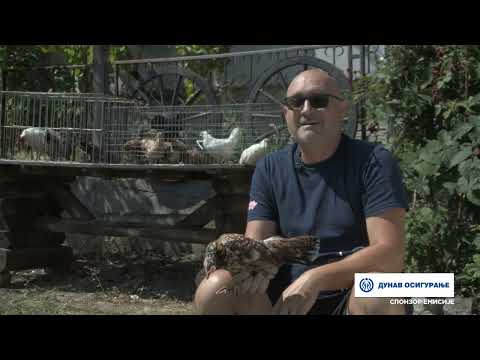 Imamo rešenje ep. 318 21.08.2025. Kikirez