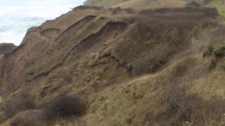 If Pope Francis won't go to County Durham England.