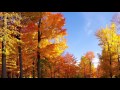 F. Mendelssohn Bartholdy "Herbstlied" Op. 63 Nr ...