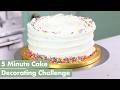 How To DECORATE A BIRTHDAY CAKE IN 5 MINUTES Can I Do It Sprinkle Cake Challenge Cakedecorating