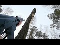 Cutting down a tree with an AK Saiga 12 shotgun - Easy? - FSWL Cutting down a tree with an AK Saiga 12 shotgun - Easy?