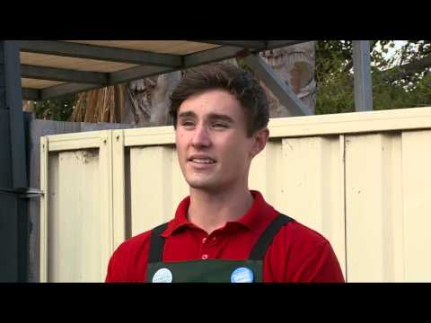 How To Make Your Own Compost - DIY At Bunnings
