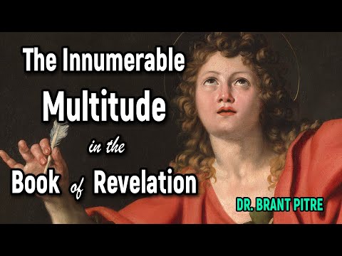 The Innumerable Multitude in the Book of Revelation